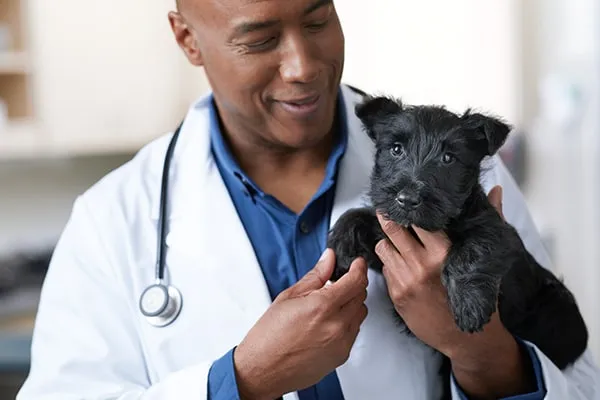 Dr Millar Veterinarian Tucson